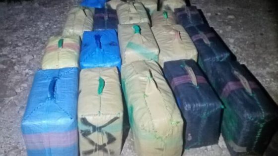 بتنسيق مع الديستي امن الصويرة يوقف 5 أشخاص مرتبطين بشبكة إجرامية للتهريب الدولي للمخدرات