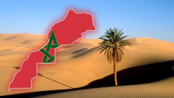 السيناتور الأمريكي، تيد كروز، يشيد بالاعتراف الاسرائيلي بسيادة المغرب على صحرائه