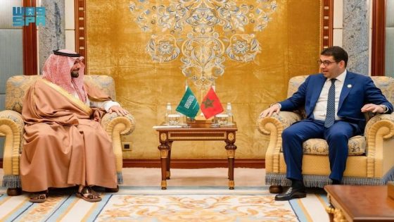 عقد وزير الشباب والثقافة والتواصل، محمد المهدي بنسعيد يجري مباحثات بمدينة جدة